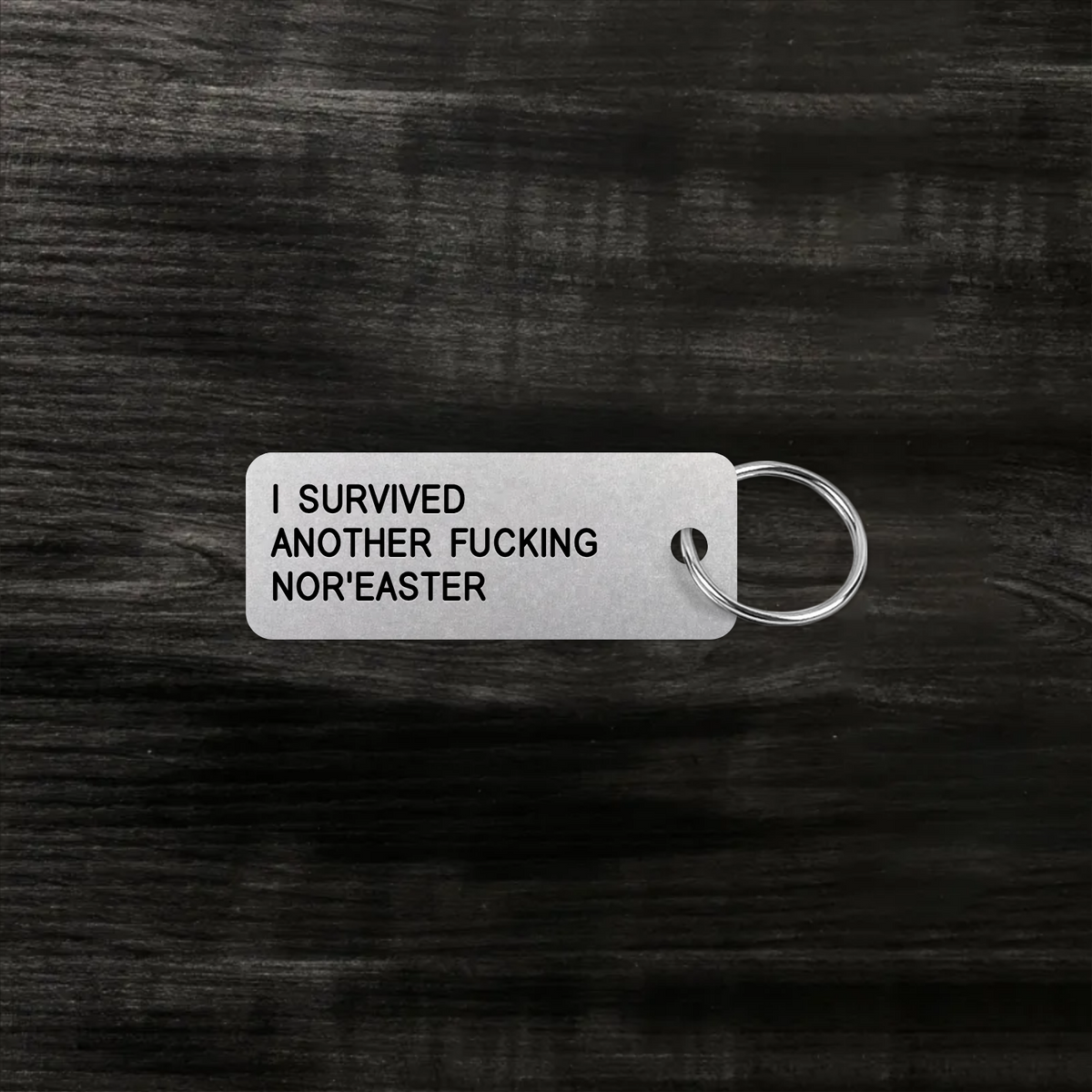 I SURVIVED ANOTHER FUCKING NOR'EASTER keytag mockup