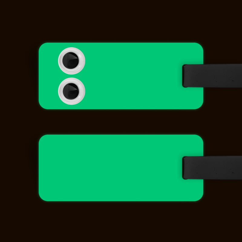 [APRIL FOOLS EDITION] Googly Eyes Luggage Tag (Glow In The Dark Double Sided)