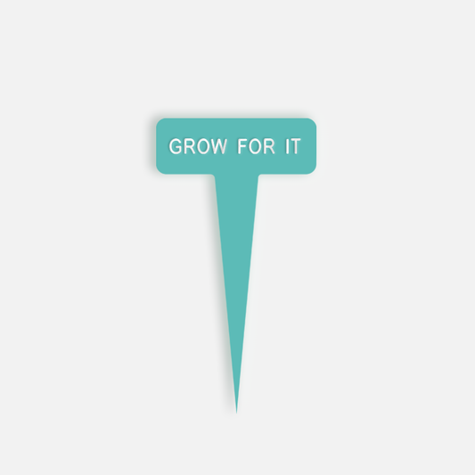 GROW FOR IT Small Caption
