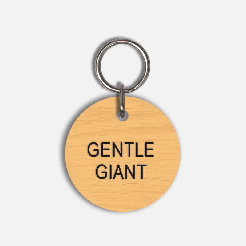 GENTLE GIANT Large Pet Tag