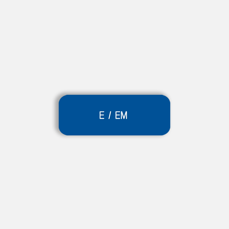 E / EM Pronoun Pin