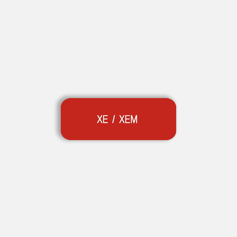 XE / XEM Pronoun Pin