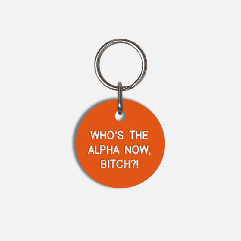 WHO'S THE ALPHA NOW, BITCH?! Small Pet Tag